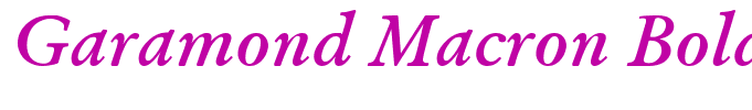 Garamond Macron Bold Italic by Paul Kennett